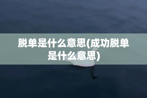 脱单是什么意思(成功脱单是什么意思)