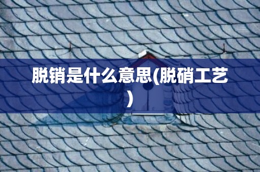 脱销是什么意思(脱硝工艺)