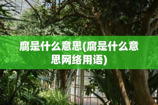 腐是什么意思(腐是什么意思网络用语)