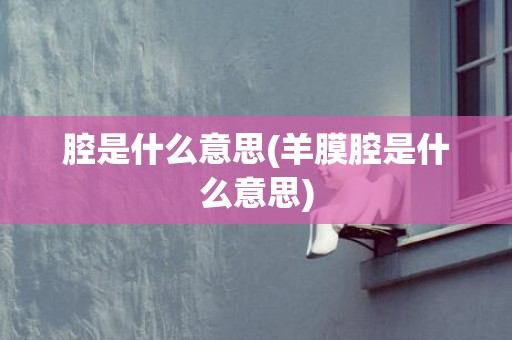 腔是什么意思(羊膜腔是什么意思)