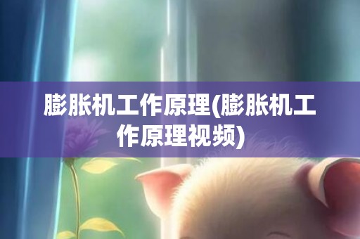 膨胀机工作原理(膨胀机工作原理视频)