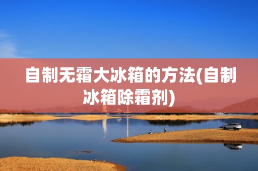 自制无霜大冰箱的方法(自制冰箱除霜剂)