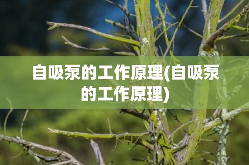 自吸泵的工作原理(自吸泵的工作原理)