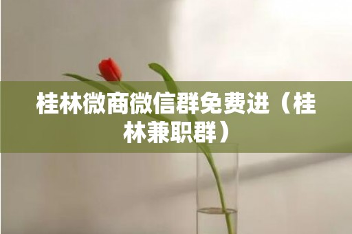 桂林微商微信群免费进（桂林兼职群）