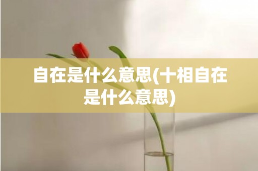 自在是什么意思(十相自在是什么意思)