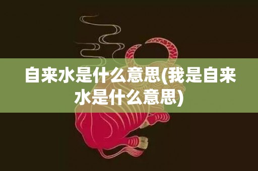 自来水是什么意思(我是自来水是什么意思)
