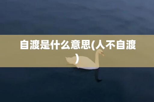 自渡是什么意思(人不自渡)
