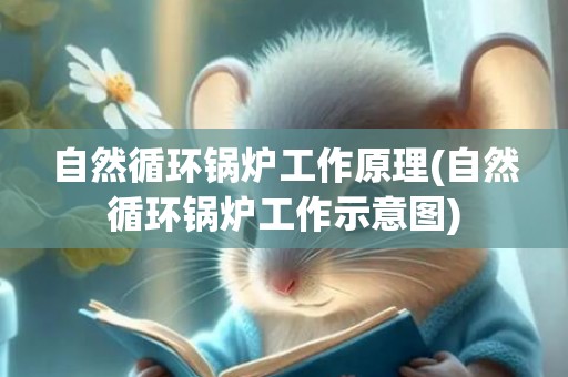 自然循环锅炉工作原理(自然循环锅炉工作示意图)