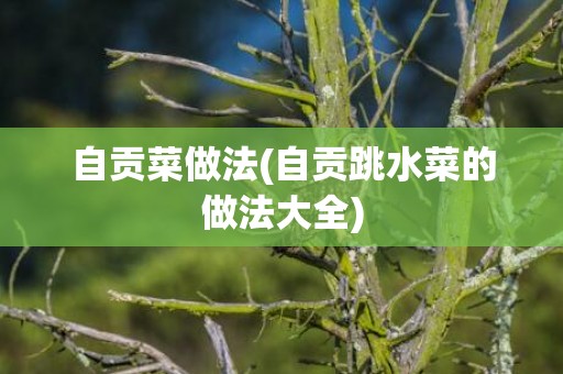 自贡菜做法(自贡跳水菜的做法大全)