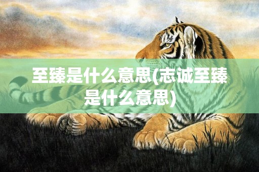 至臻是什么意思(志诚至臻是什么意思)
