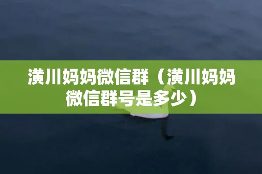 潢川妈妈微信群（潢川妈妈微信群号是多少）