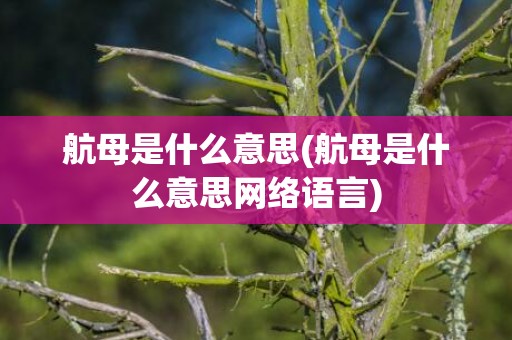 航母是什么意思(航母是什么意思网络语言)