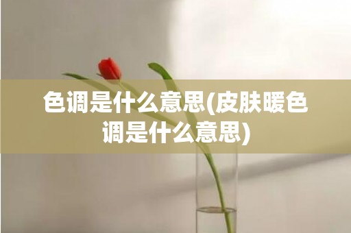 色调是什么意思(皮肤暖色调是什么意思)