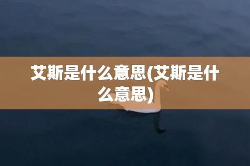 艾斯是什么意思(艾斯是什么意思)
