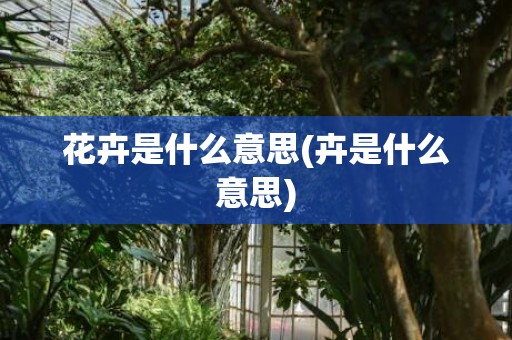 花卉是什么意思(卉是什么意思)