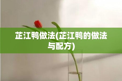 芷江鸭做法(芷江鸭的做法与配方)