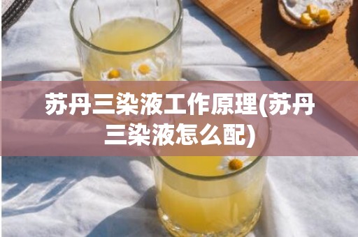 苏丹三染液工作原理(苏丹三染液怎么配)