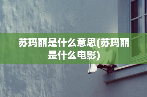 苏玛丽是什么意思(苏玛丽是什么电影)