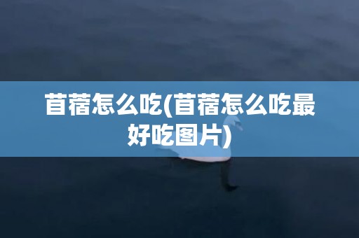 苜蓿怎么吃(苜蓿怎么吃最好吃图片)