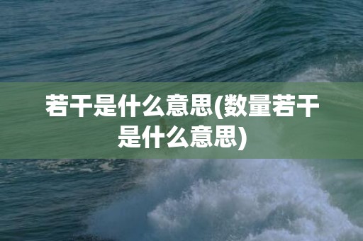 若干是什么意思(数量若干是什么意思)