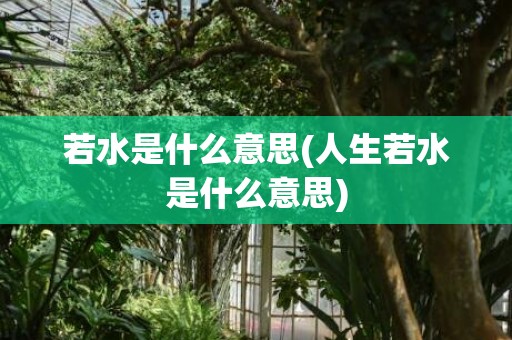 若水是什么意思(人生若水是什么意思)