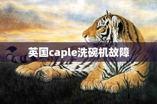 英国caple洗碗机故障