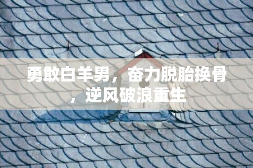勇敢白羊男，奋力脱胎换骨，逆风破浪重生