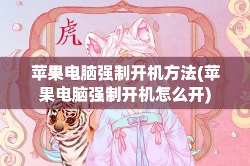 苹果电脑强制开机方法(苹果电脑强制开机怎么开)