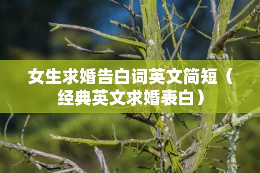 女生求婚告白词英文简短（经典英文求婚表白）