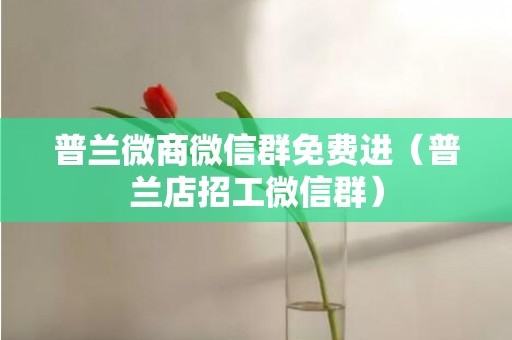 普兰微商微信群免费进（普兰店招工微信群）
