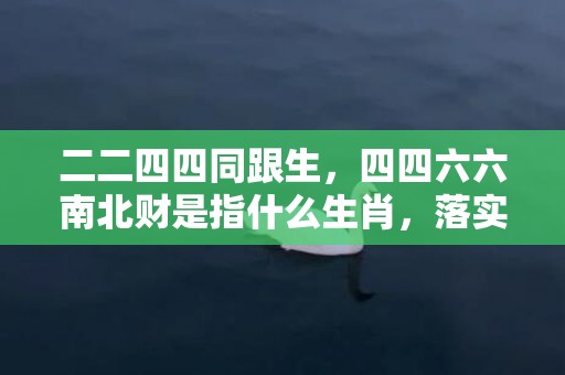二二四四同跟生，四四六六南北财是指什么生肖，落实精准答案