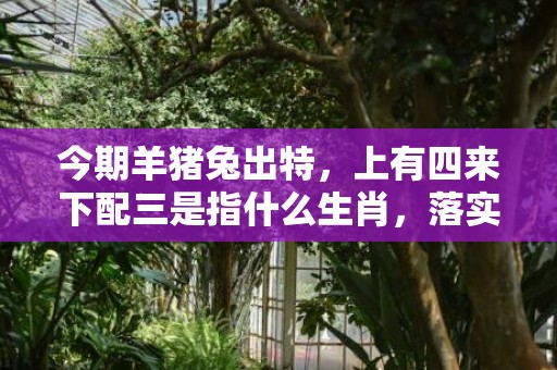 今期羊猪兔出特，上有四来下配三是指什么生肖，落实精准答案