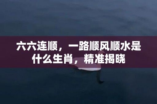 六六连顺，一路顺风顺水是什么生肖，精准揭晓
