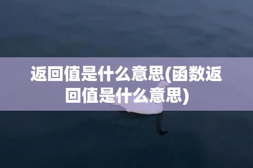 返回值是什么意思(函数返回值是什么意思)