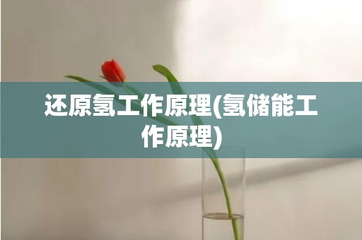 还原氢工作原理(氢储能工作原理)
