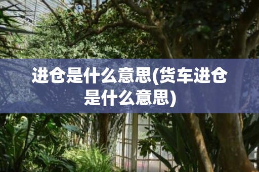 进仓是什么意思(货车进仓是什么意思)