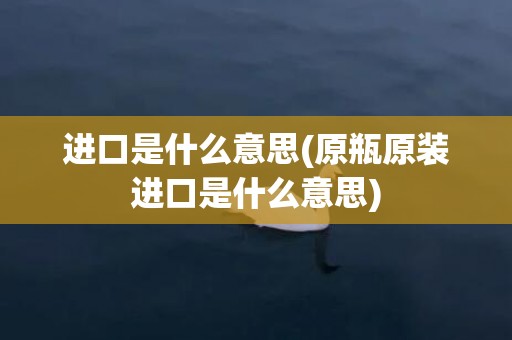 进口是什么意思(原瓶原装进口是什么意思)