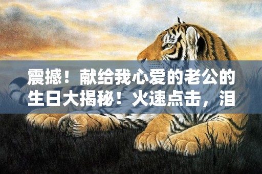 震撼！献给我心爱的老公的生日大揭秘！火速点击，泪目感动！