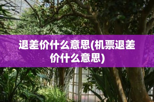退差价什么意思(机票退差价什么意思)