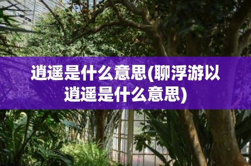 逍遥是什么意思(聊浮游以逍遥是什么意思)