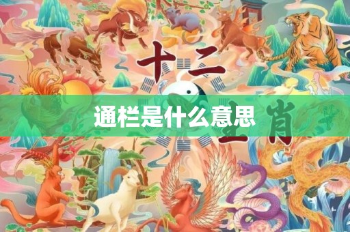 通栏是什么意思