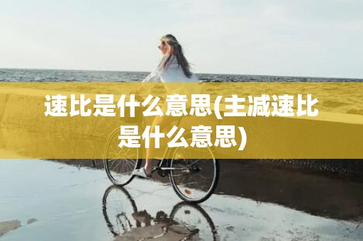 速比是什么意思(主减速比是什么意思)