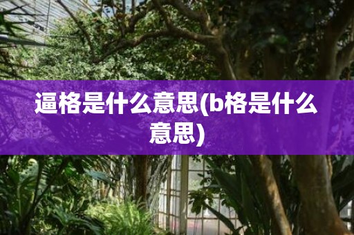 逼格是什么意思(b格是什么意思)