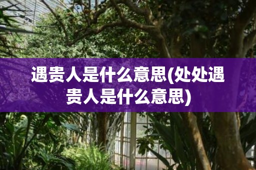 遇贵人是什么意思(处处遇贵人是什么意思)