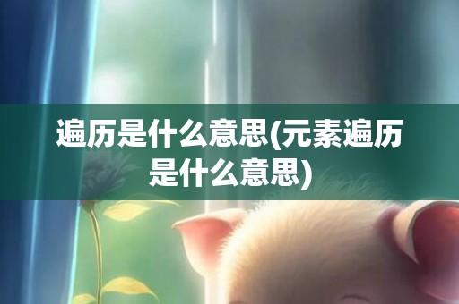 遍历是什么意思(元素遍历是什么意思)