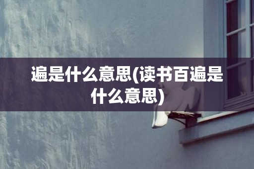 遍是什么意思(读书百遍是什么意思)