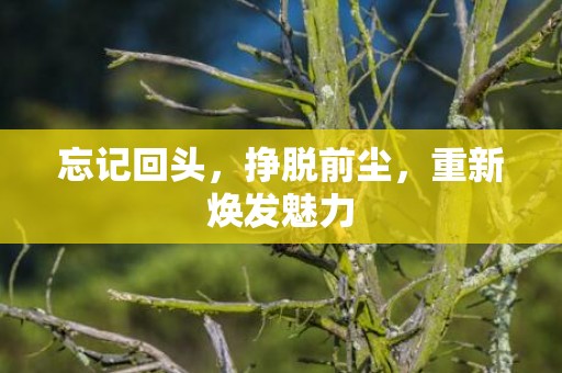 忘记回头，挣脱前尘，重新焕发魅力