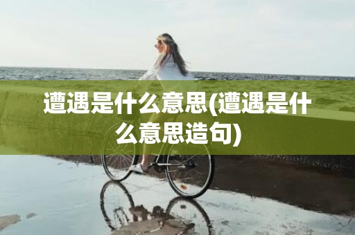 遭遇是什么意思(遭遇是什么意思造句)