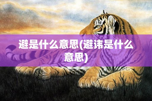 避是什么意思(避讳是什么意思)
