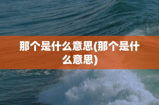那个是什么意思(那个是什么意思)